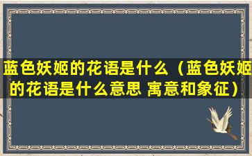 蓝色妖姬的花语是什么（蓝色妖姬的花语是什么意思 寓意和象征）